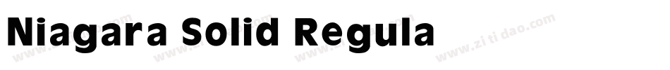 Niagara Solid Regula字体转换